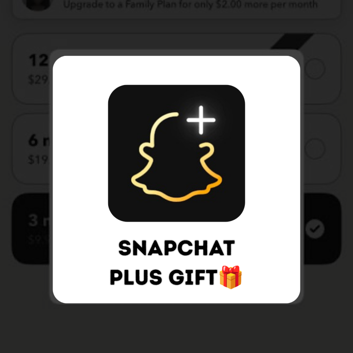 Snapchat Plus (Gift)